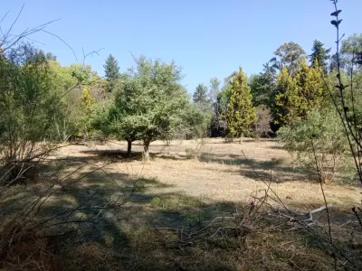 Terreno en venta en Tepotzotlán - foto 3