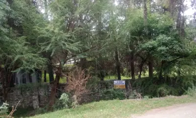 Terreno campestre arbolado junto a rio