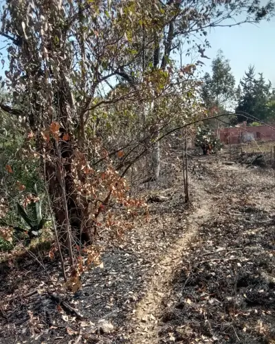 Terreno en venta en Tepotzotlán - foto 4