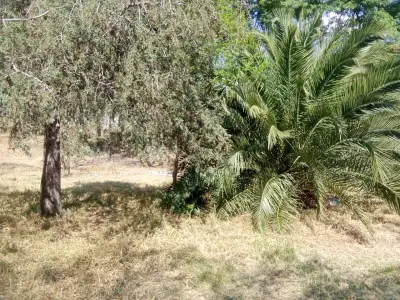 Terreno en venta en Tepotzotlán - foto 4