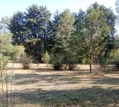 Terreno en venta en Tepotzotlán - foto 4