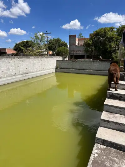 Rancho en venta en Pedro Escobedo - foto 5