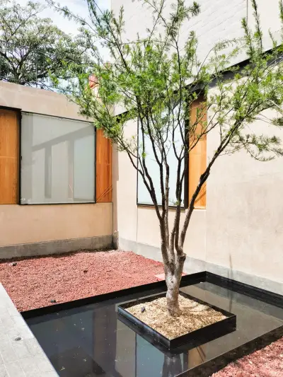 Departamento en venta en Oaxaca - foto 5