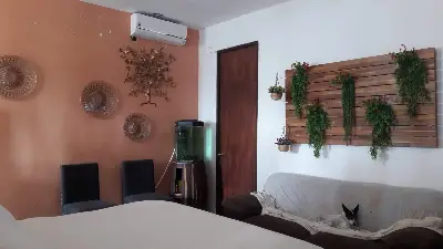 Casa en renta en Conkal - foto 2