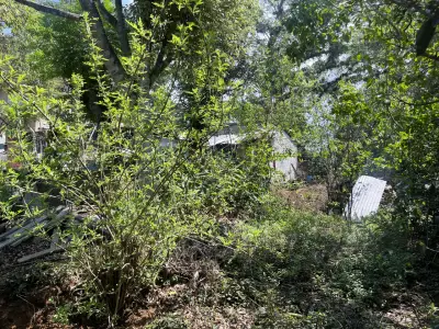 Terreno en venta en Emiliano Zapata - foto 2