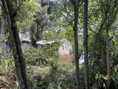 Terreno en venta en Emiliano Zapata - foto 3