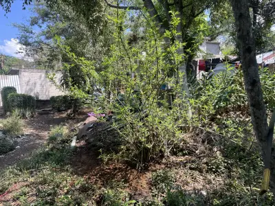 Terreno en venta en Emiliano Zapata - foto 4
