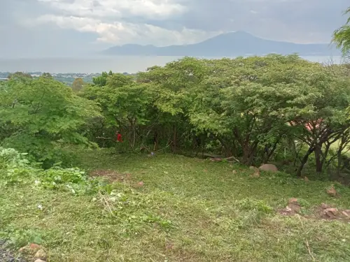 Terreno en venta en Jocotepec - foto 4