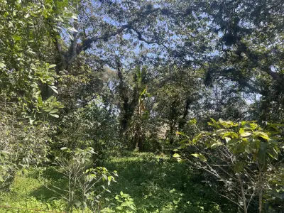 Terreno en venta en Emiliano Zapata - foto 4