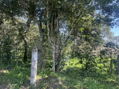Terreno en venta en Emiliano Zapata - foto 2