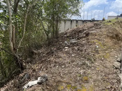 Terreno en venta en Emiliano Zapata - foto 5