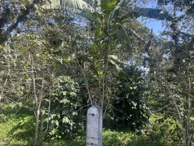 Terreno en venta en Emiliano Zapata - foto 5