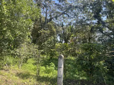 Terreno en venta en Emiliano Zapata - foto 3