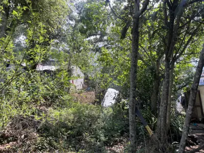 Terreno campestre