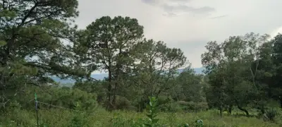 Terreno en venta en Tapalpa - foto 5