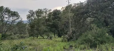 Terreno en venta en Tapalpa - foto 4