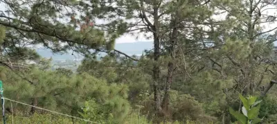 Terreno en venta en Tapalpa - foto 3