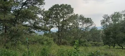 Terreno en venta en Tapalpa - foto 2