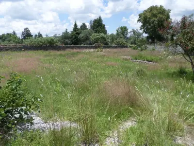 Terreno en venta en Jilotepec de Abasolo - foto 5