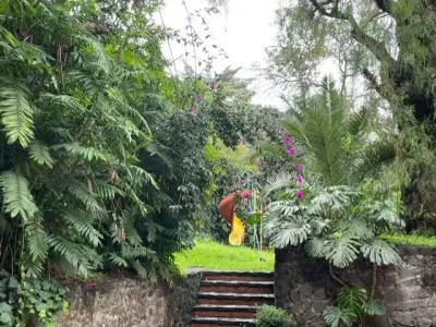 Casa en venta en Álvaro Obregón - foto 2