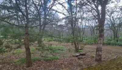 Terreno en venta en Teuchitlán - foto 4