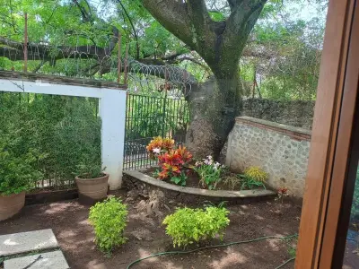 Casa en venta en Cuernavaca - foto 2