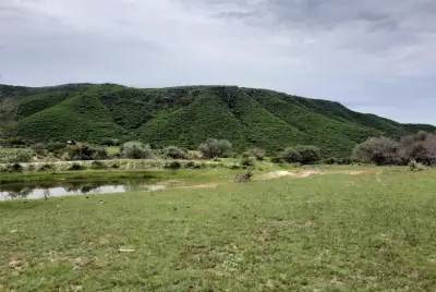 Terreno en venta en Lagos de Moreno - foto 2