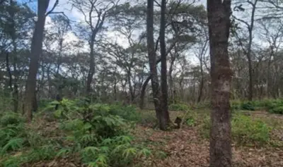 Terreno en venta en Teuchitlán - foto 3