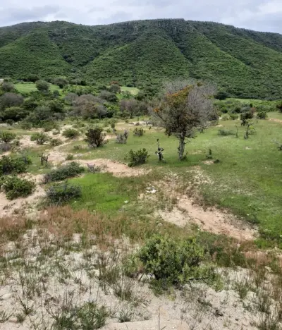 🏡 terreno en venta en comanja de corona | más de 8 hectárea