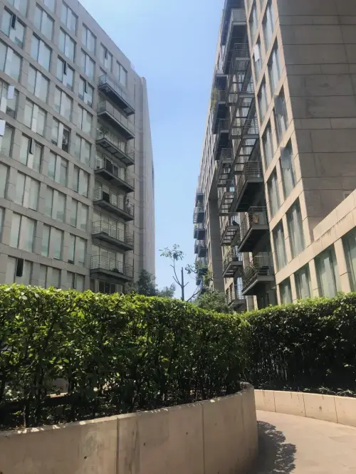 Renta puerta coyoacan