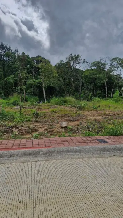 Terreno en venta en Coatepec - foto 3