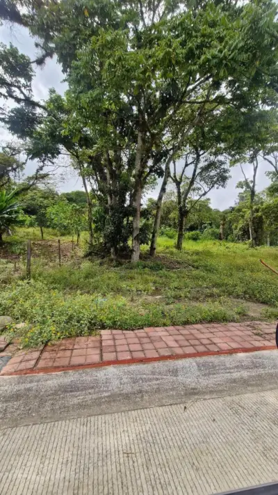 Terreno en venta en Coatepec - foto 4