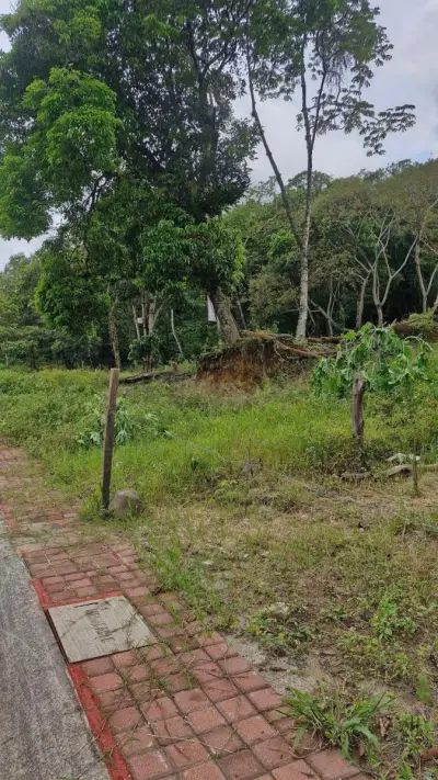 Terreno en venta, en Coatepec