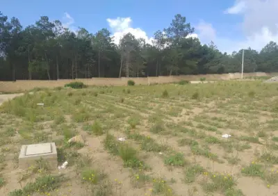Venta terreno en raúl loranca