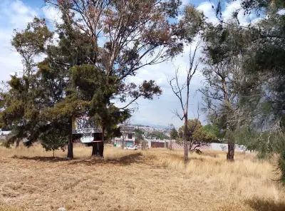 Terreno en venta en Tlaxcala - foto 4