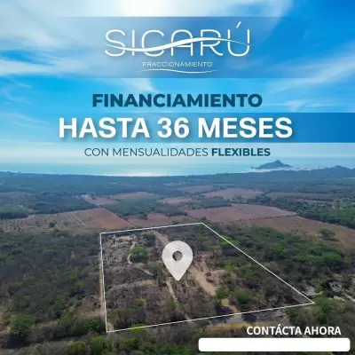 Vista 3