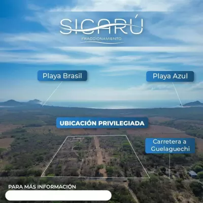 Vista 4