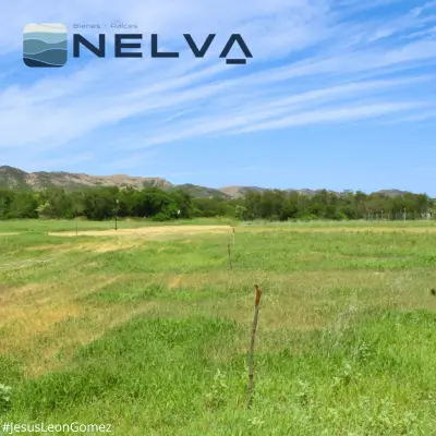 Vista 5