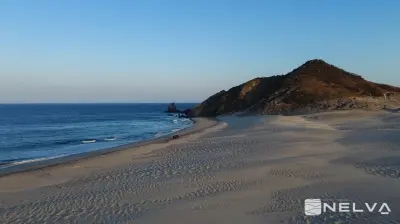 Vista 3