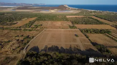 Vista 5