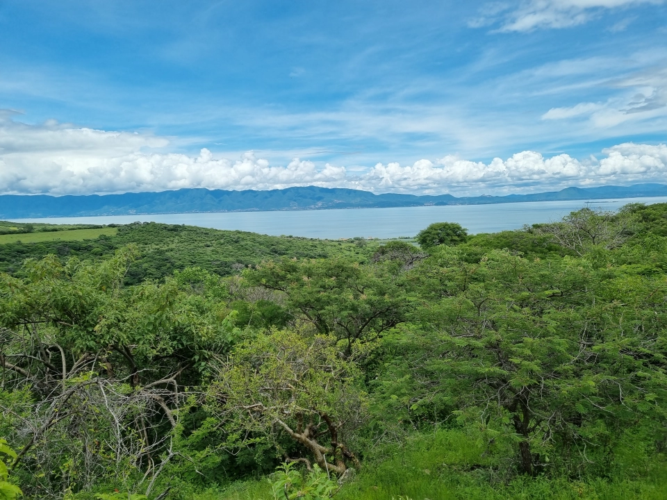 Terrenos para cabañas en la Ribera de Chapala