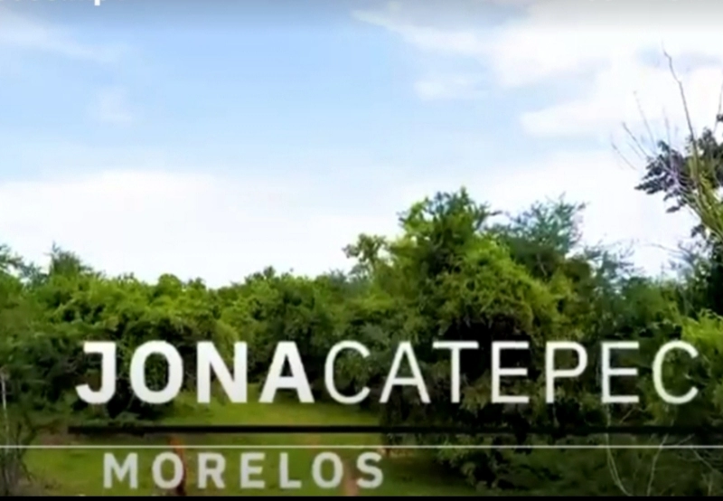 VENTA TERRENO MORELOS JONACATEPEC 2.4 HECTÁREAS $ 10,000,00