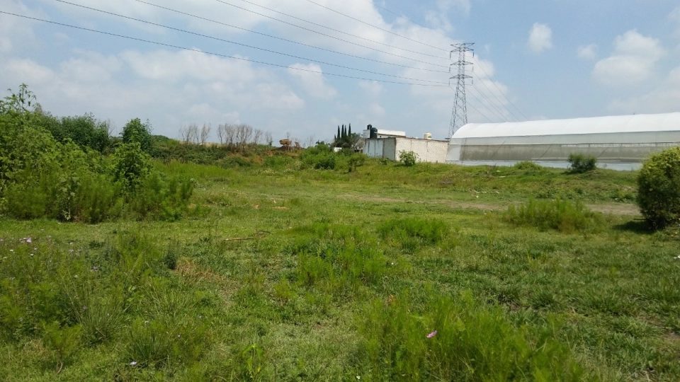 Lote 1668 m2