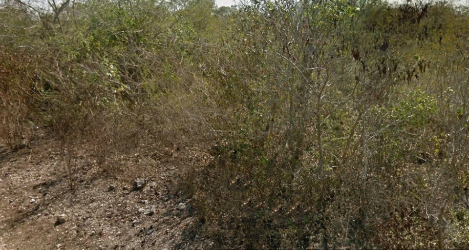 Terreno en S José Kuché, zona de plusvalía