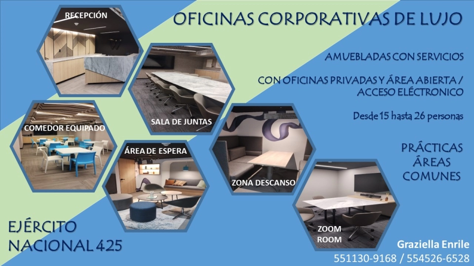 OFICINAS DE LUJO AMUEBLADAS,  EN RENTA EN POLANCO