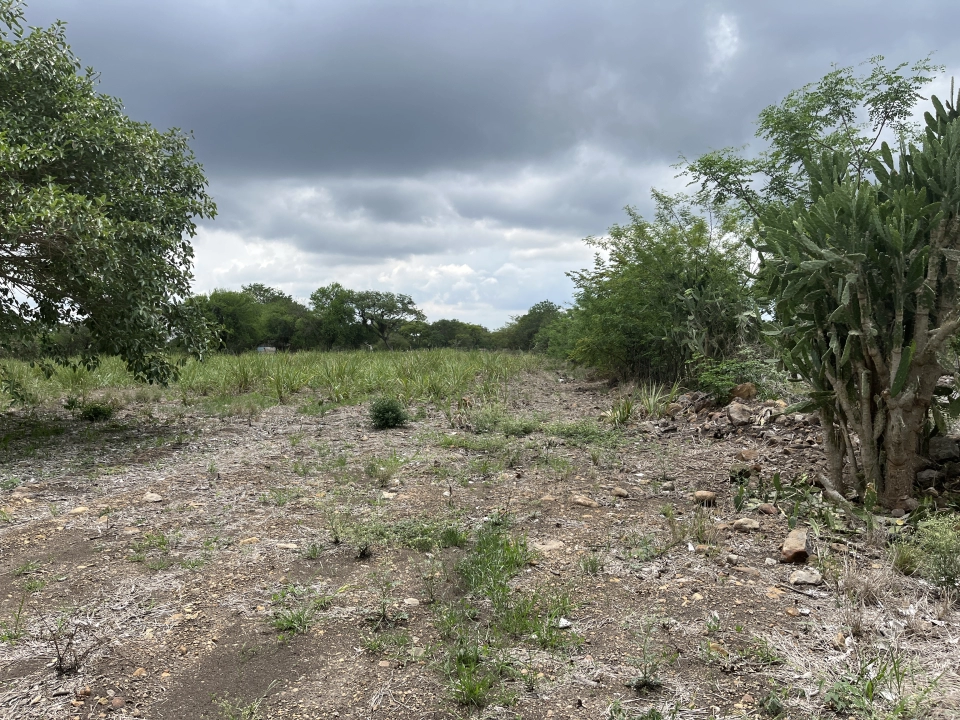 Terreno con acceso por el camino