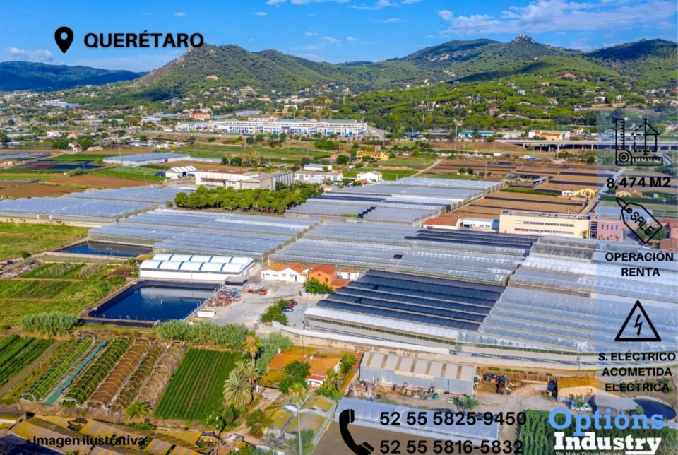 Querétaro, lote industrial en renta