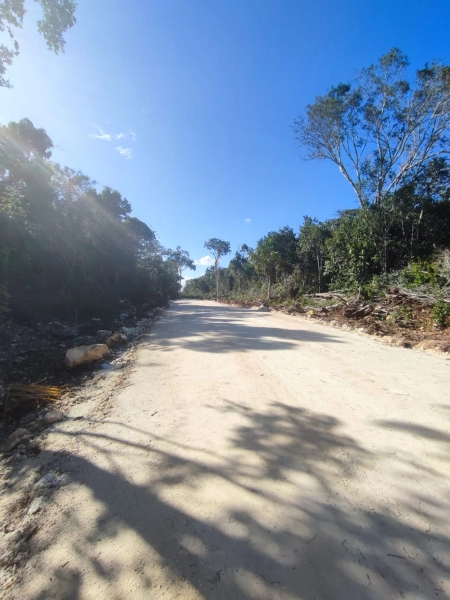 Proyecto privado- Ecológico Finca Guerrero 