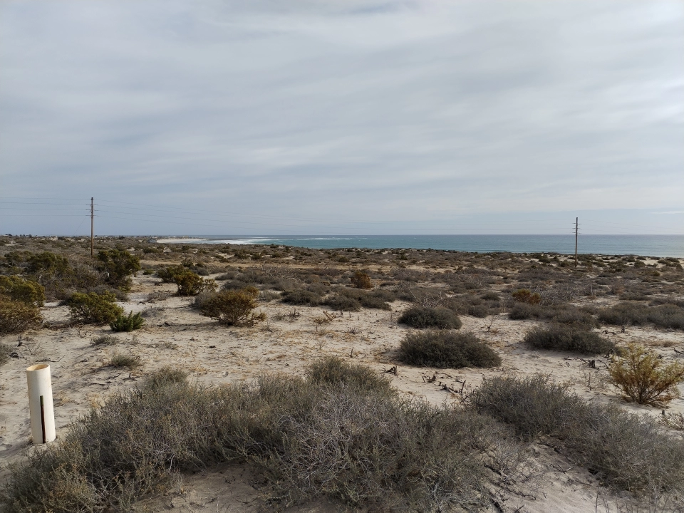 TERRENO DE PLAYA