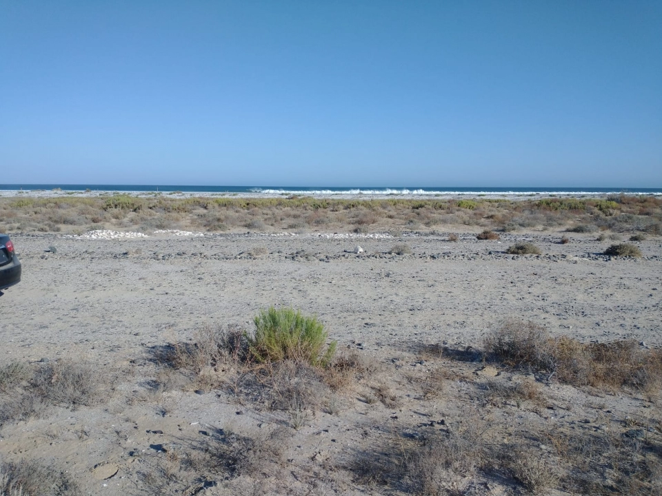 TERRENO EJIDAL DE PLAYA